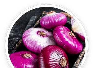 Quercetin supplement powder