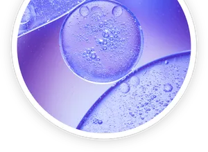 Enzyme illustration